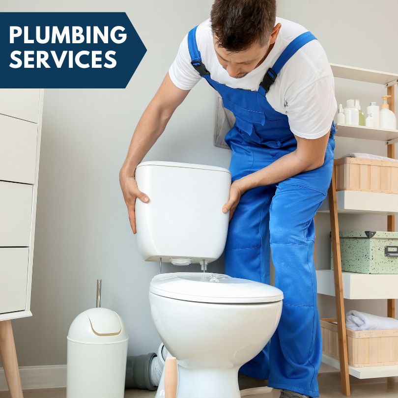 Plumbing Company in Fieldon, IL